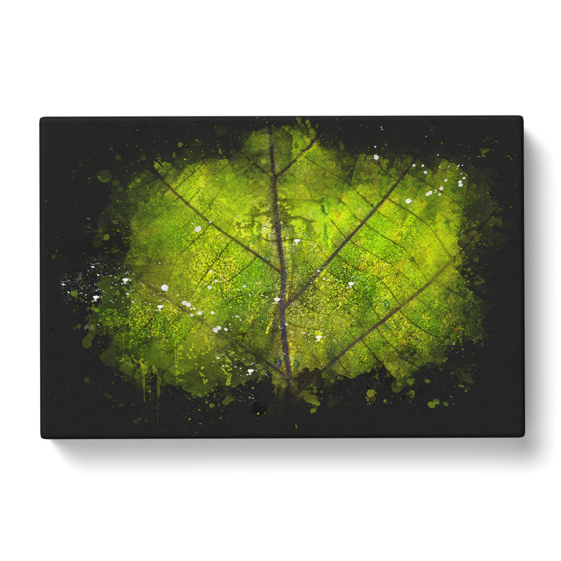 Lines Of The Leaf - Wrapped Canvas Painting, 50cm H x 76cm W x 3cm D
