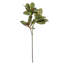 35 po. 2 branches de magnolia vert artificiel
