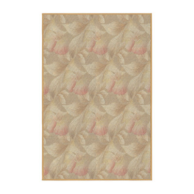 Indoor Rug