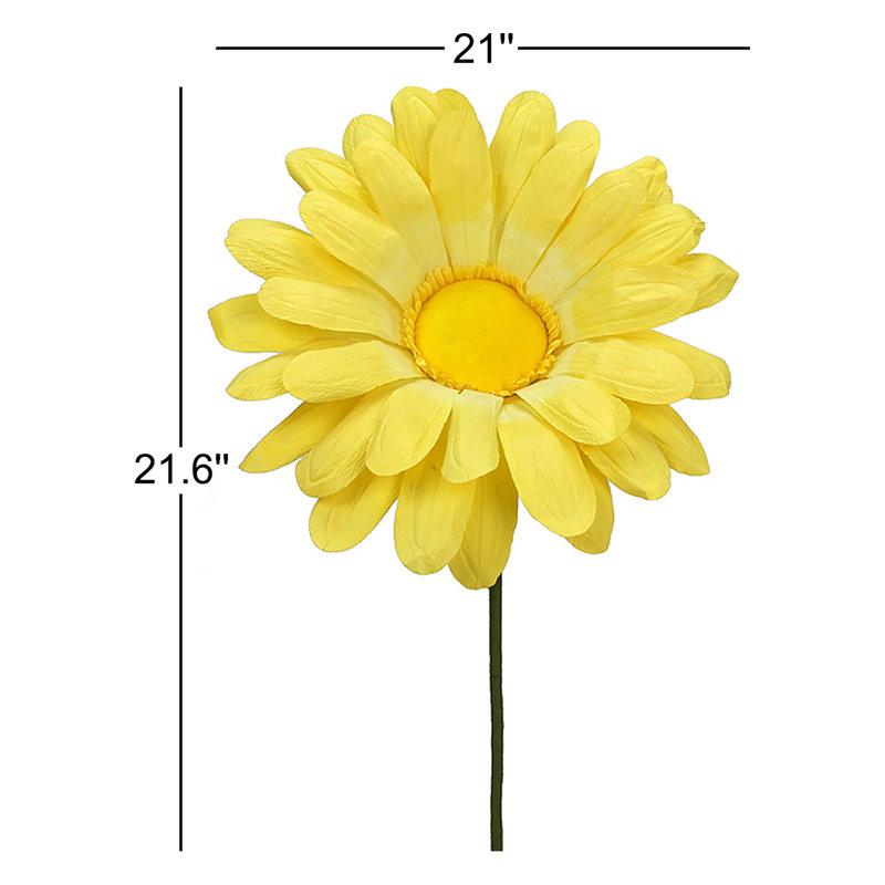 Tige de marguerite, Magenta