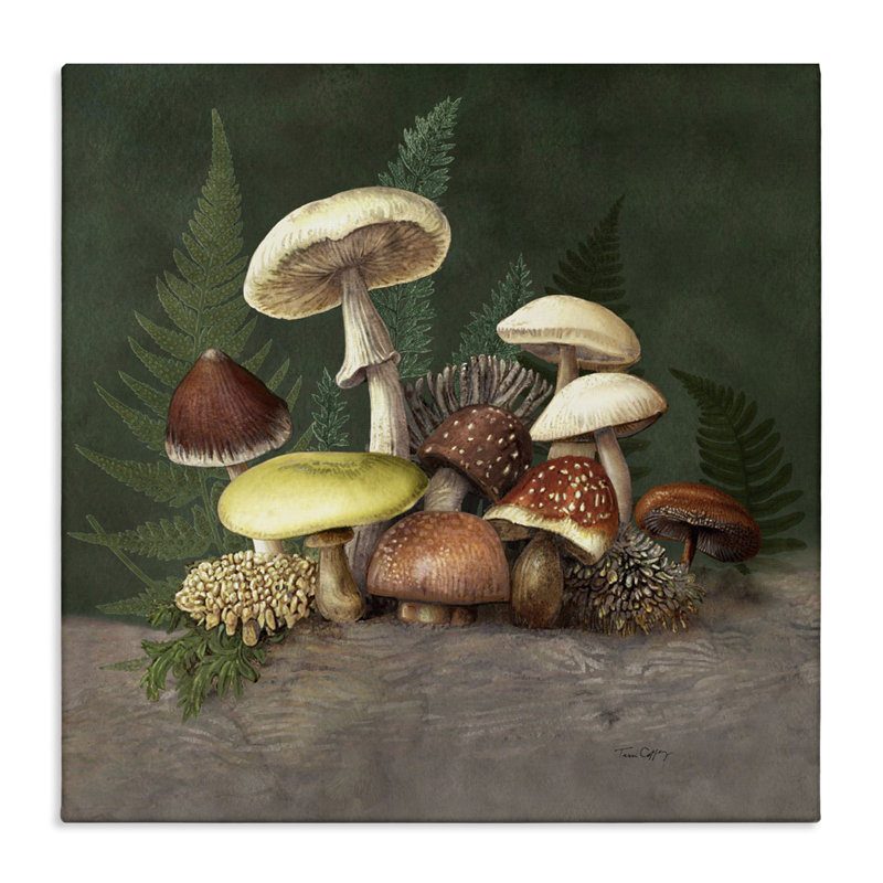 Champignons et fougères, toile de Tim Coffey, H 17 po x l 17 po