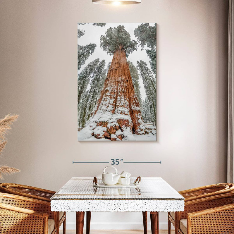 Harnek Wintry Sequoia Tree, 48" H x 32" W