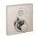 ShowerSelect Temperature Memory Thermostatic 1-Function Shower Trim Valve Trim Only
