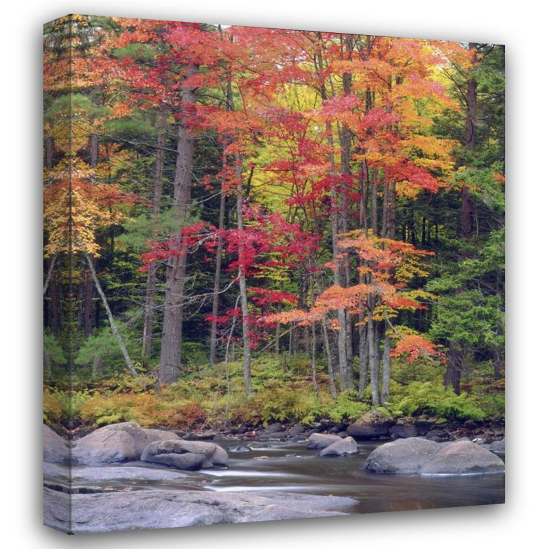 Art sur toile, Talbot Frank, Christopher Gallery: États-Unis, New York, automne dans les montagnes Adirondack