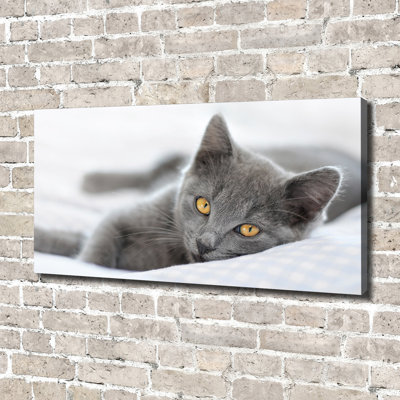 Gray Cat - No Frame Print