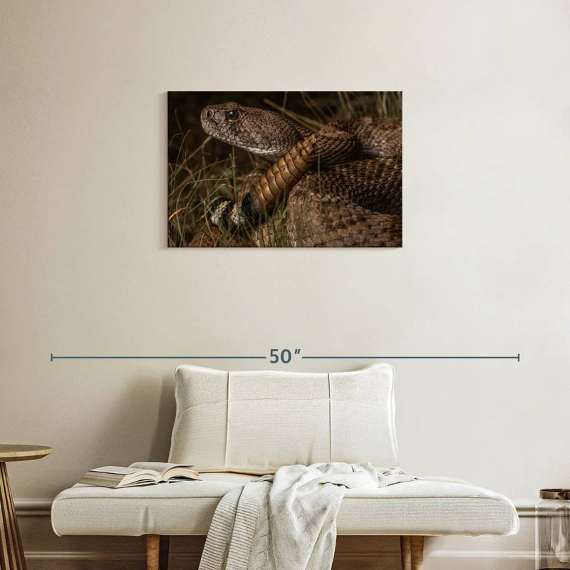 Diamondback Rattlesnake, 20" H x 30" W