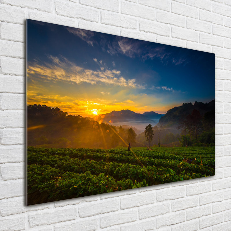 Tea Plantation - Unframed Art Prints on Glass