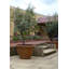 Balhi Fibreglass Planter-14486398
