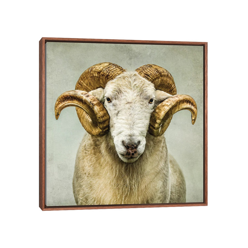 « Stare » par Mark Gemmell-impression d’art graphique, Pas de tapis, Toile avec cadre en bois classique
