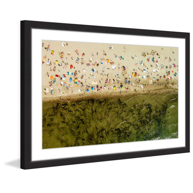 " Seaweed " by Karolis Janulis, 16" H x 24" W