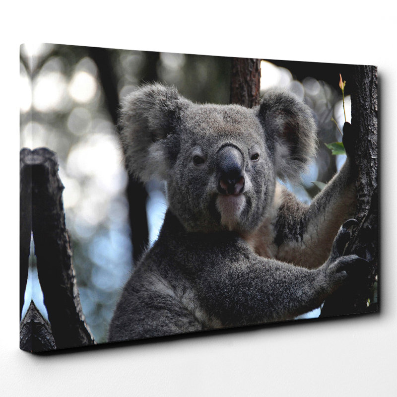 Wrapped Canvas Print, 50cm H x 76cm W