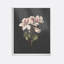 Flower Study I Print by M. De Gijselaar