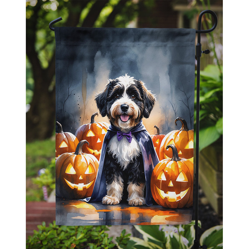 Drapeau de jardin chiot Halloween, Bernedoodle
