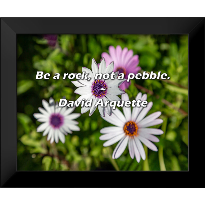 Citation de David Arquette: «Be a rock, not a galet».