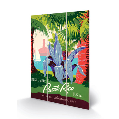 Puerto Rico 1 Piece Wall Art