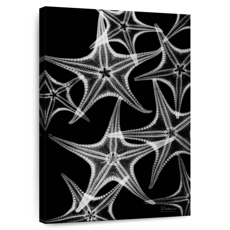 Brampt White Starfish, 45" H x 30" W