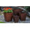 Blake Handmade Planter