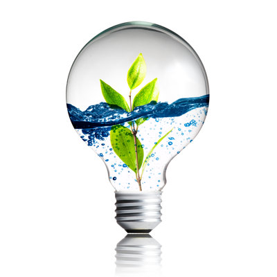 Ampoule avec plante - impression sur toile tendue