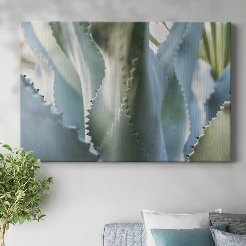 «Blue Agave II», toile tendue avec châssis, H 12 po x l 18 po