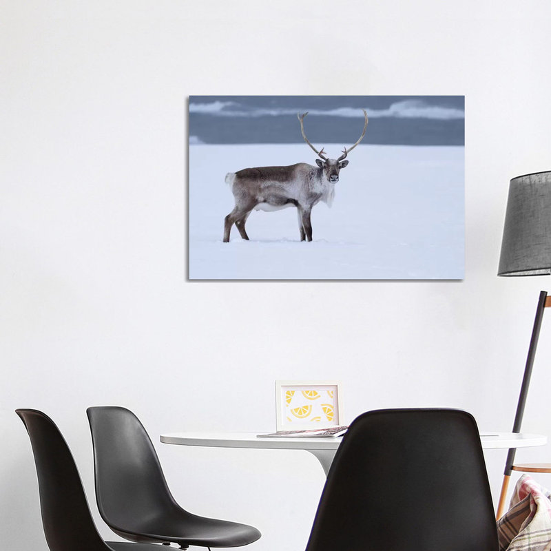 Reindeer in Snow 1 Piece Wrapped Canvas Painting, 101.6 cm H x 66.04 cm W x 3.175 cm D
