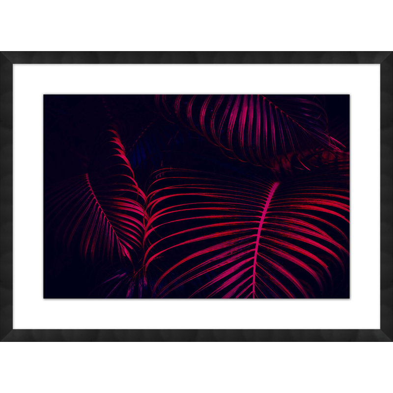 Night Tropics 1 Print by Mat Sanders