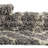 Azbill Geometric Indoor Rug-1600934227