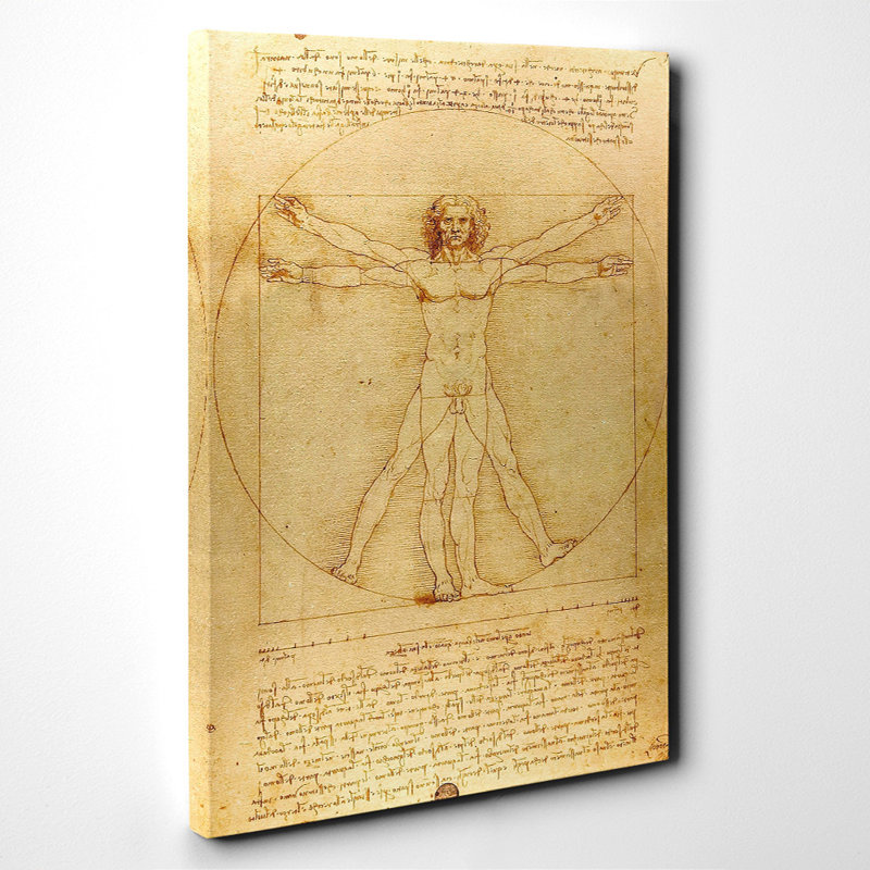 The Vitruvian Man Vitruviano by Leonardo da Vinci - Wrapped Canvas, 100cm H x 70cm W