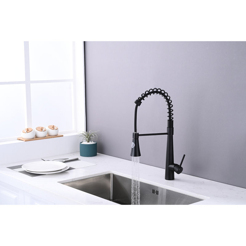 Robinet de cuisine commercial noir mat avec rétractable et support magnétique, robinet chauffant, conçu en acier inoxydable