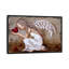 Beauty Shines Brighter - Painting Print on Canvas-1134878041-1134878042