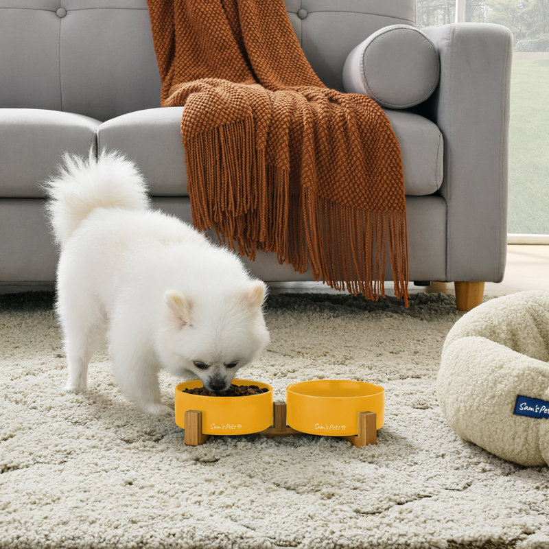 Coco Pet Bowl, Yellow