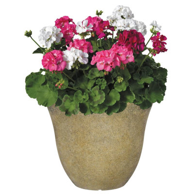 Ayaah Pot Planter