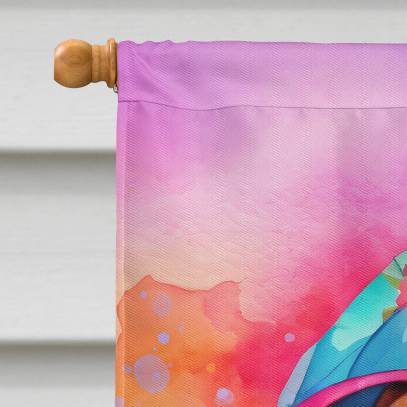 Drapeau de la maison Hippie Dawg, Basset hound