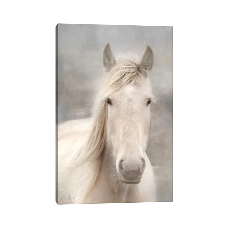 White Beauty I by Lori Deiter - Wrapped Canvas Print, 20.32 cm H x 30.48 cm W