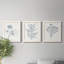 Indigo Botany Study IV - Ensemble de 3 peintures sur toile encadrées-116087746-116087747