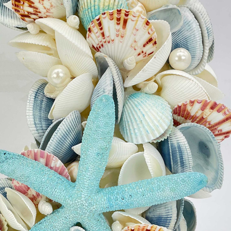 Premium Quality Starfish for Wedding Shell Crafts Odor Free 