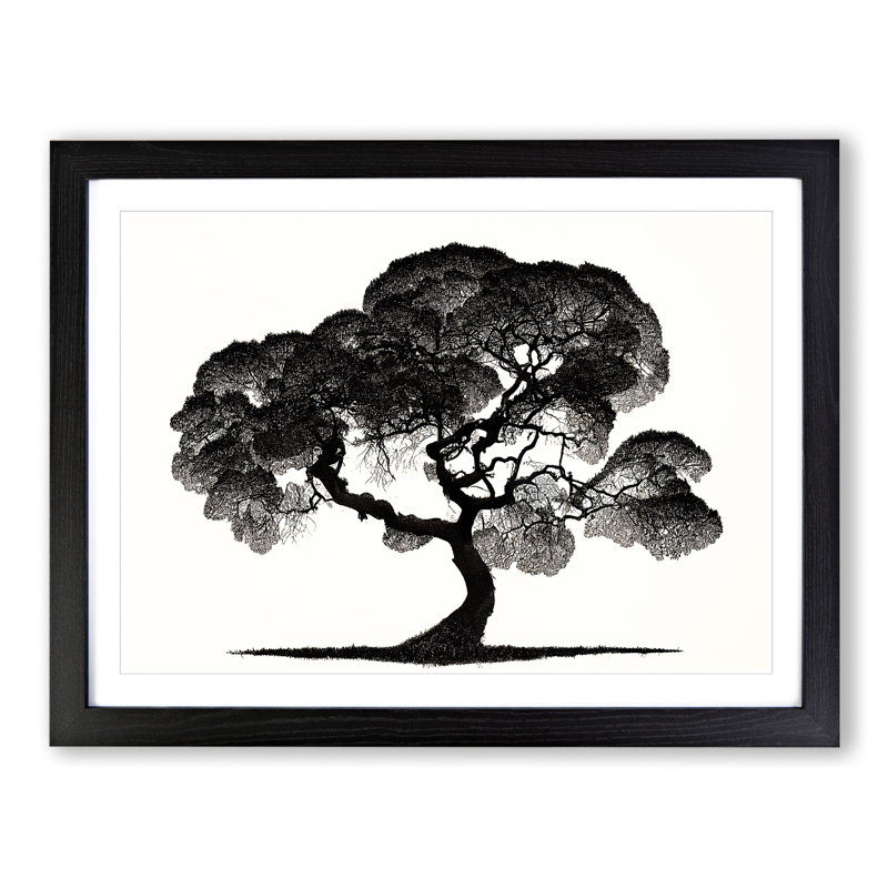 Entrancing Tree - Single Picture Frame Print, Black, 46cm H x 64cm W x 2cm D