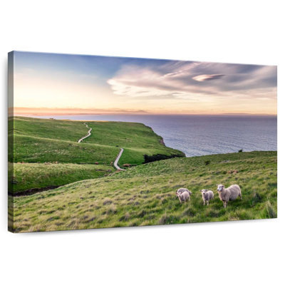 Gillard Sheep On Christchurch Cliff