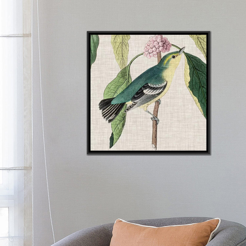 « aviaire crop iv », reproduction d’impression sur toile, H 26 po x l 26 po x P 1,5 po, Toile tendue, Pas de tapis
