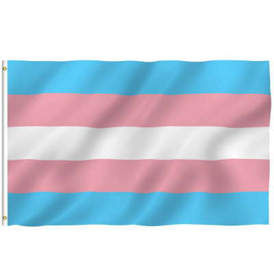 Drapeau de maison en polyester 36 x 60 po Transgender Pride Flag