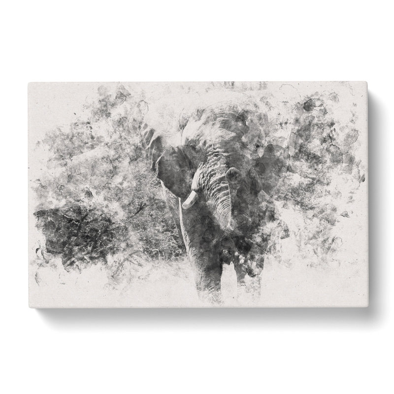 The Majestic Elephant - Wrapped Canvas Print, 40cm H x 60cm W x 3cm D