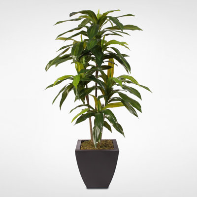 Real Touch Faux Dracaena Tree in Metal Pot