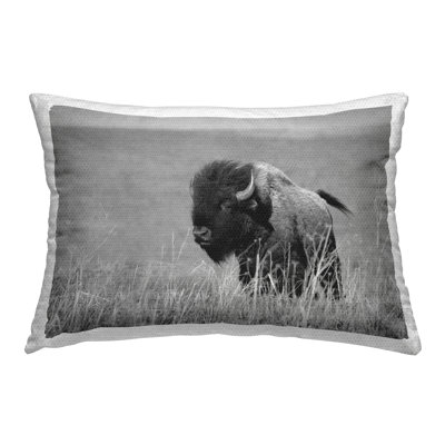 Outdoor Throw Pillow
