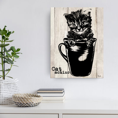 " Catachino "
