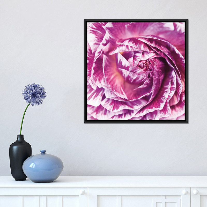 " Ranunculus Abstract IV " by Laura Marshall, 18" H x 18" W x 1.5" D, Black Framed Canvas, No Mat