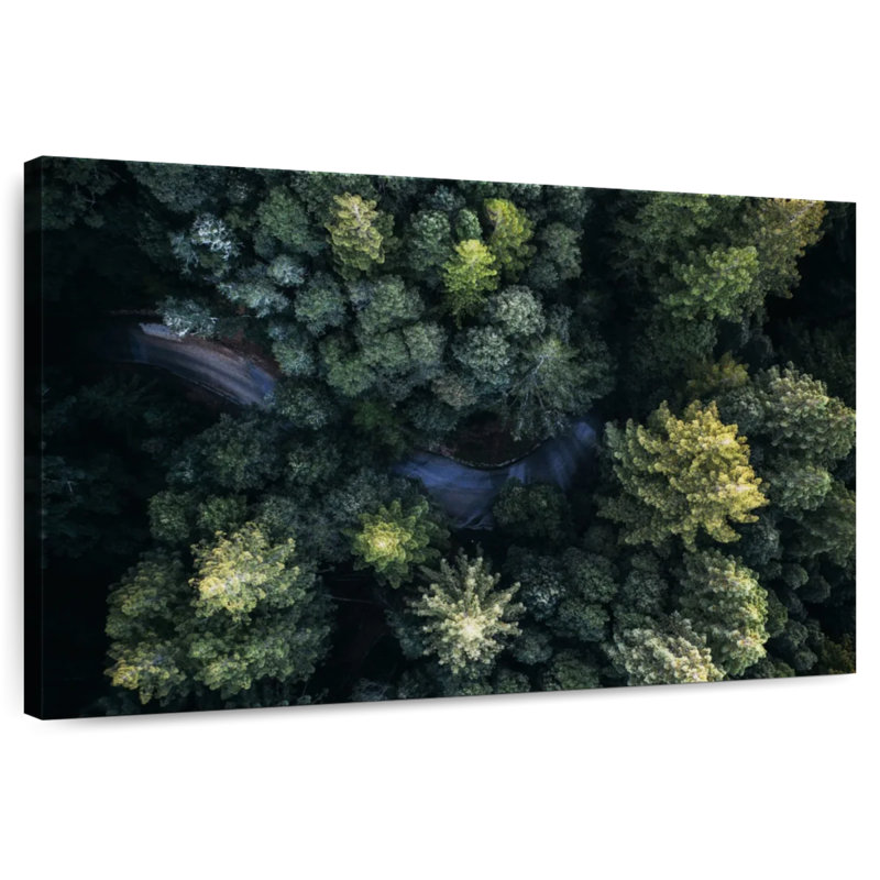 Alvord Forest Route, 16" H x 24" W