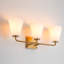 Dimmable Vanity Light-1974396352