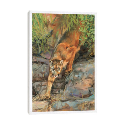 Mountain Lion II by David Stribbling - Gallery-Wrapped Canvas Giclée on Canvas