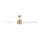 Carly 60'' Ceiling Fan with LED Light Kit