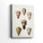 Cone Shell Collection IV -Gallery Wrapped Cavas-2005292765
