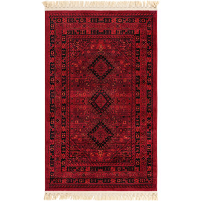 Oriental Indoor Rug
